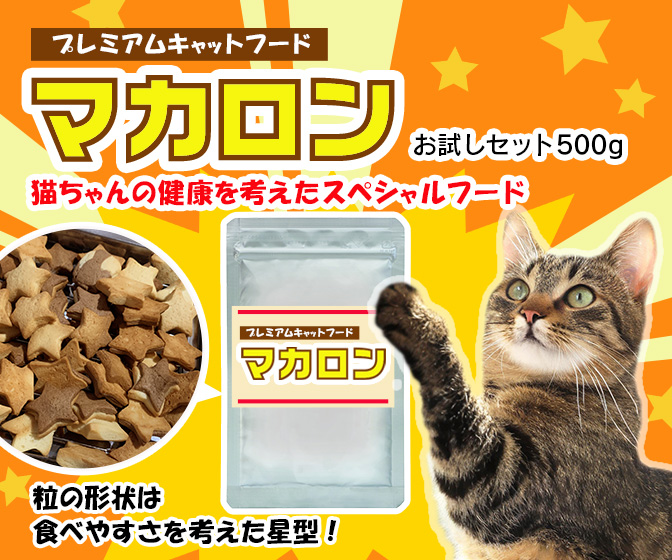 会社マイウェブ様　キャットフードのバナー